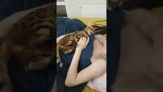 Против шерсти не любит