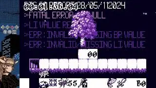 Void Stranger Lillie Burdened Any% 2:45