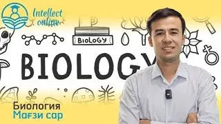 Биология | Мағзи сар | Анатомияи одам