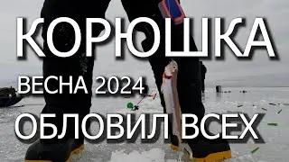 ВЕСЕННЯЯ КОРЮШКА НА ФИНСКОМ ЗАЛИВЕ | ОБЛОВИЛ ВСЕХ