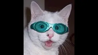 Cokolwiek🐱‍👤 |  MONTAGE (fivem)