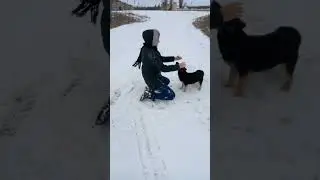 Жужа😂🐶 