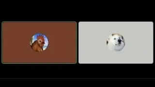 Broken Discord Mic