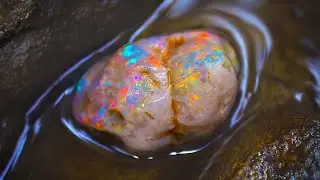 Newest Lightning Ridge opal fields produces gem opal