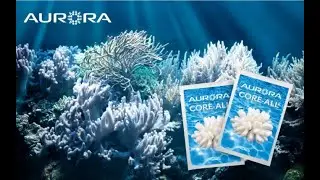 КОРАЛЛОВАЯ ВОДА ЖИВАЯ, дающая жизнь!