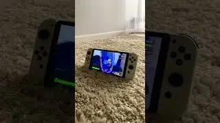 Nintendo Switch Oled Risk of Rain 2