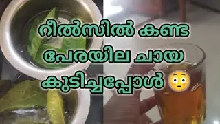 ആ പേരയിലചായ ഒന്ന് try ചെയ്തപ്പോൾ||😳😳 @JNJ entertainments