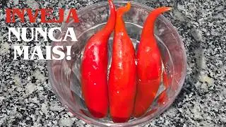 Algo Anda Estranho? Experimente Esta Simpatia com Pimenta e Sinta a Mudança!