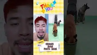 MeLatih Anjing Buang Sampah Pada tempatnya 