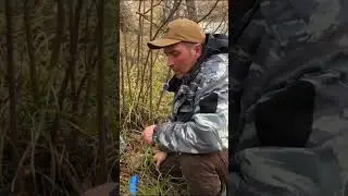 Набираю березовый сок