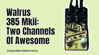 Doubling Up Overdrives with the Walrus 385 Mkii, a Truly Unique Overdrive!!! #npd #overdrive
