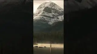 A place I go to connect with nature and embrace the stillness. 🤍