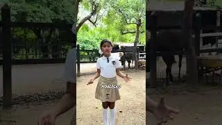 ¿Ya conoces nuestra sede campestre?