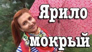 4 июня Ярило Мокрый Праздник Каждый День Рита Некрасова