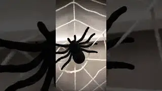 DEZE HALLOWEEN DECORATIE MOET JE HEBBEN! 👻#lijstenmakerij #halloweendecoratie #halloweeninterieur