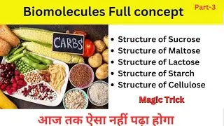 Biomolecules| Disaccharides | Polysaccharides| Class 12 | JEE | NEET