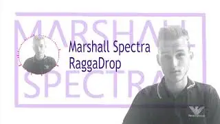 Marshall Spectra - RaggaDrop (Extended Mix)