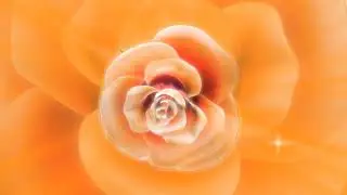 Free Stock Videos - Free Download, Stock Footage, No Copyright, Archive, HD, Download