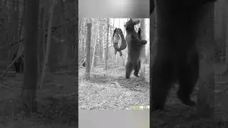 С ПРИМАНКОЙ НЕ СПРАВИЛСЯ, ЗАБРАЛ КАНИСТРУ.