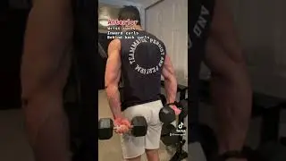 How to grow your FOREARMS! (Best Exercises)