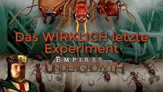 Das Wirklich letzte Experiment! | Empires of the Undergrowth | Let's Play