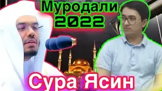 Кори Муродали Сура Ясин  2022 /  سورة س  ٣٦  / sura Yasin 36  qori murodali 2022 #поиск Сураи Ёсин
