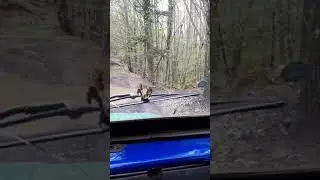 Луаз