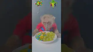 Eat fruit in order of emotions