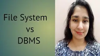 2  File system vs DBMS