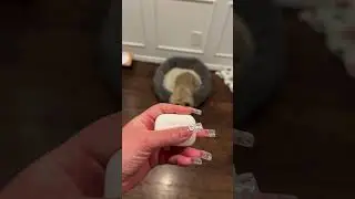 Ohhh nurfieee 🤦‍♀️ 