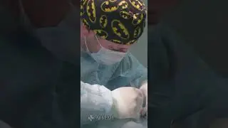 Опять стреляют по животным