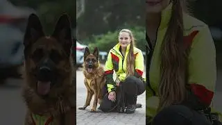 Wer gewinnt den Modelcontest📷? Hund🦮 oder Mensch🤗? 