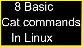 Basic Cat Commands in Linux
