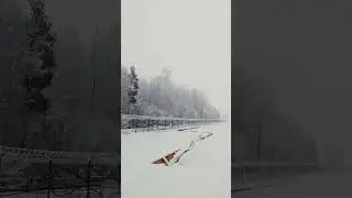 23 декабря 2023 г.