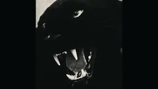 [FREE] Baby Keem x Kendrick Lamar x PG Lang Type Beat 2023 - 