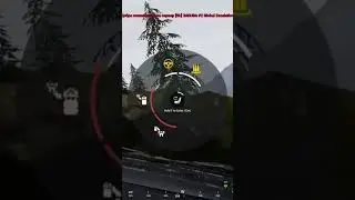 сквад #squad