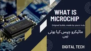 What is a microchip and what is it used for?
