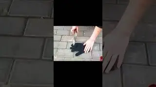 Кевларовые Перчатки🧤🧤🧤