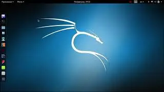 Searching for website vulnerabilities manually and with scanners