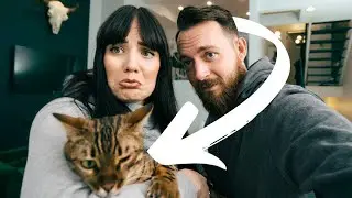 Taking our BENGAL CAT to the Vet... Something is not right