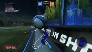 RL Nice Assist
