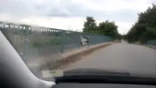 Портрет девушки/ кто то явно постарался