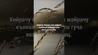 18. Даймахках лаьцна. ГIиллакхийн хазна – Ирсан некъаш