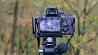 AUTUMN WOODLAND PHOTOGRAPHY SONY a7RiiiA