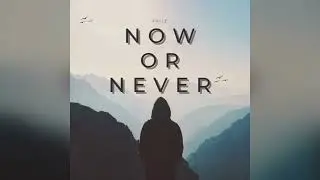 Friiz - Now or Never (Original Mix)