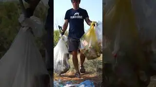 Ferragosto alternativo dopo il disastro in spiaggia! 😢🏖️🚮 #ferragosto