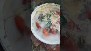 Походная печь 