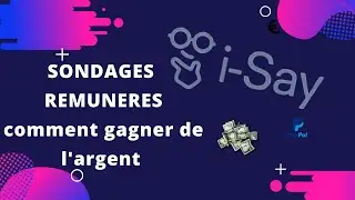SONDAGE REMUNERE : ipsos isay  #1