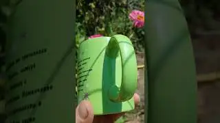 Анастасии посвящается...