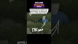Типичные Выносы в STALCRAFT 
